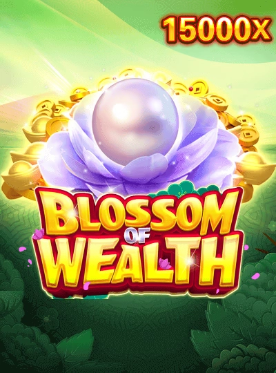 Video slot game cover